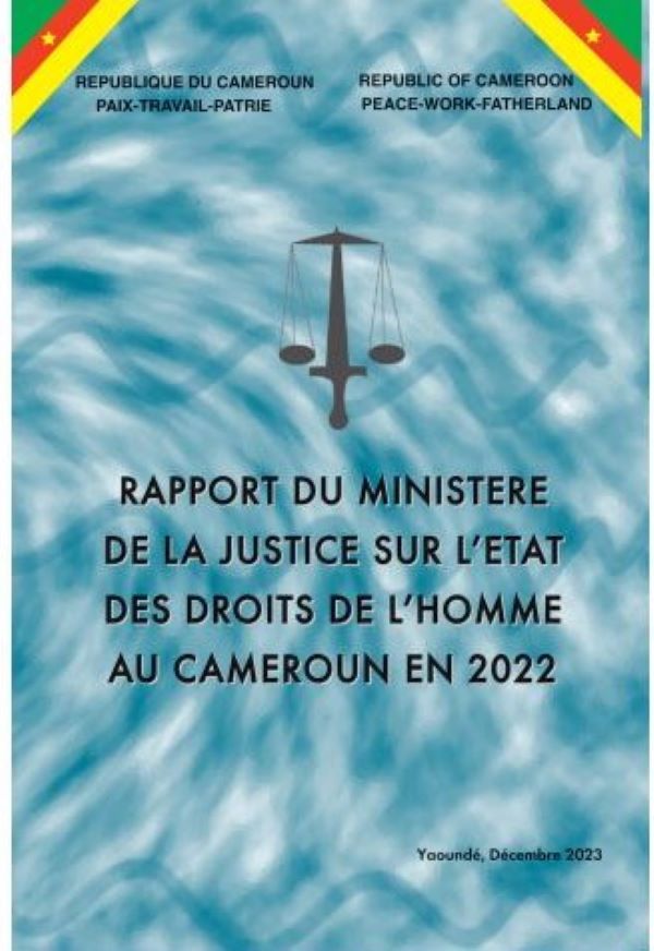 Capture.JPG Raport 2022